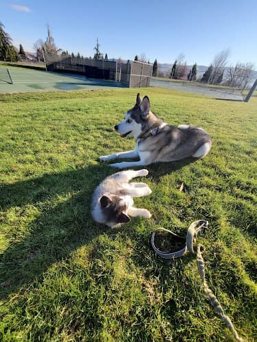 Dog walker Emil Kissel Park Yakima