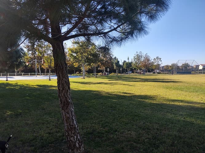 Dog walker Esplanade Park Jurupa Valley