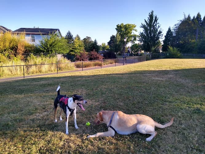 Dog walker Evelyn M. Schiffler Memorial Park Beaverton