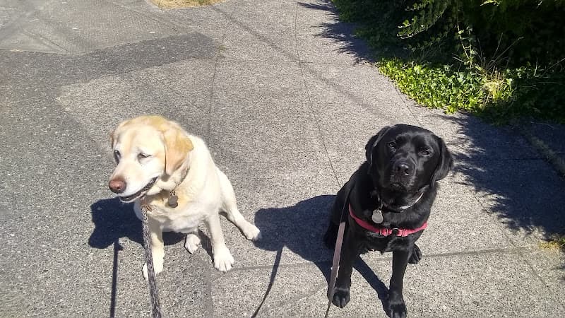 Dog walker Fantastic Dog & Cat Sitting Service Seattle