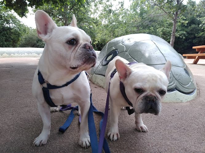 Dog walker Fetchin' Fido Los Angeles