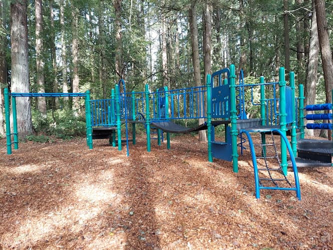 Dog walker Fir Grove Park Beaverton
