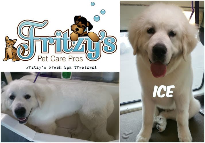 Dog walker Fritzy's Pet Care Pros South Gate