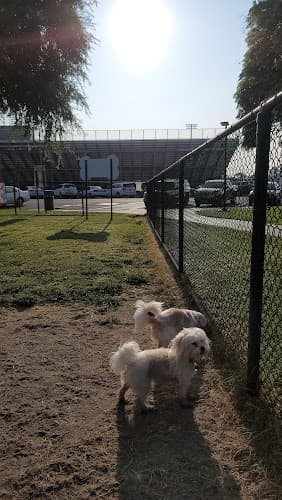 Dog walker Garden Grove Park Garden Grove