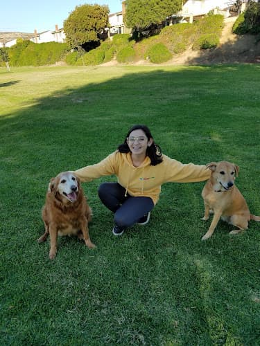 Dog walker Gingrich Park West Covina