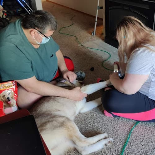 Dog walker Godsend Pet Care, LLC Portland
