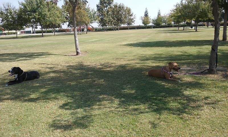 Dog walker Granite Pointe Park Bakersfield