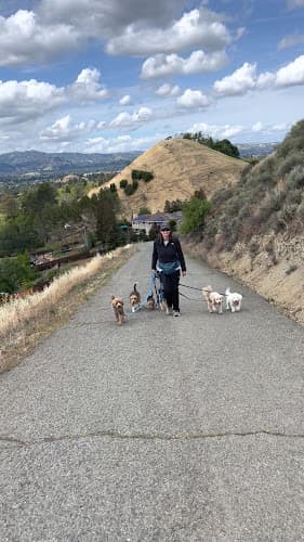 Dog walker Happy Go Lucky Pet Care Bakersfield