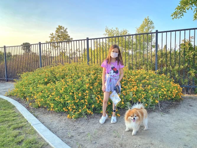 Dog walker Haster Basin Recreational Park Garden Grove