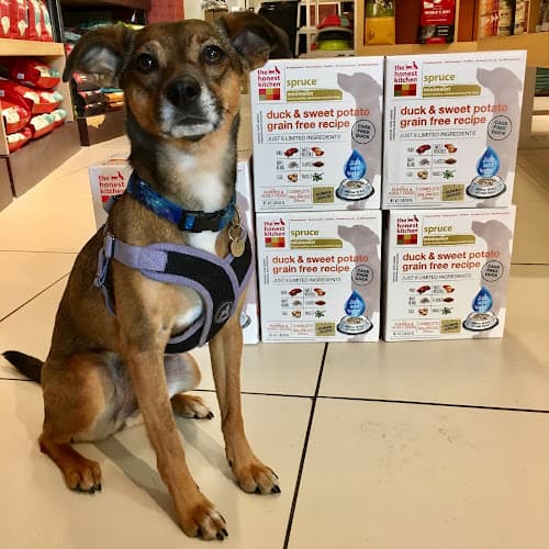 Dog walker Healthy Spot Costa Mesa