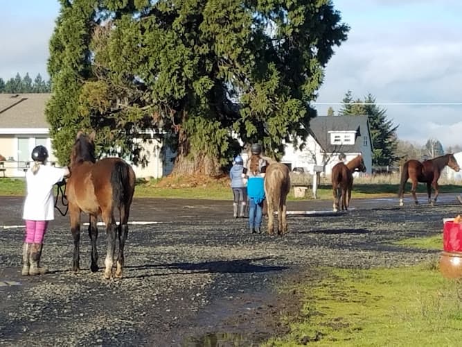 Dog walker Herrold Stables Hillsboro