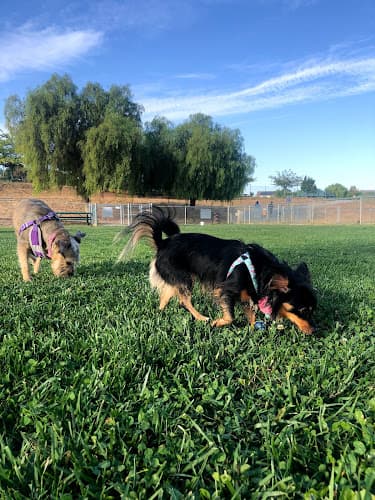 Dog walker Highlands Ranch Dog Park Antioch