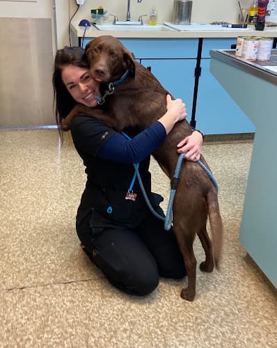 Dog walker Hillsboro Veterinary Clinic Hillsboro