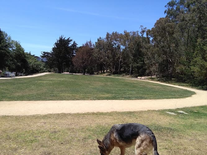 Dog walker Hillside Park Daly City