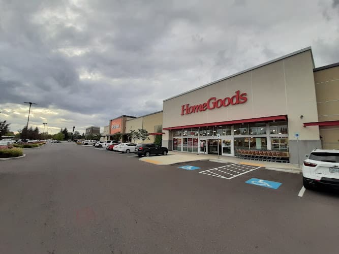Dog walker HomeGoods Salem