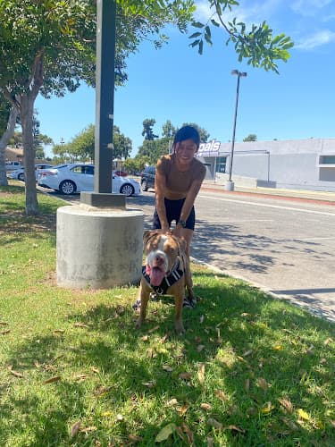 Dog walker Huntington Park Dog & Cat Clinic South Gate