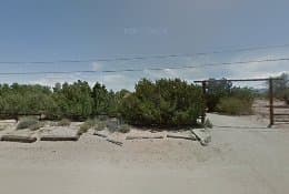 Dog walker Ivorys Sharpening & Supply's Hesperia