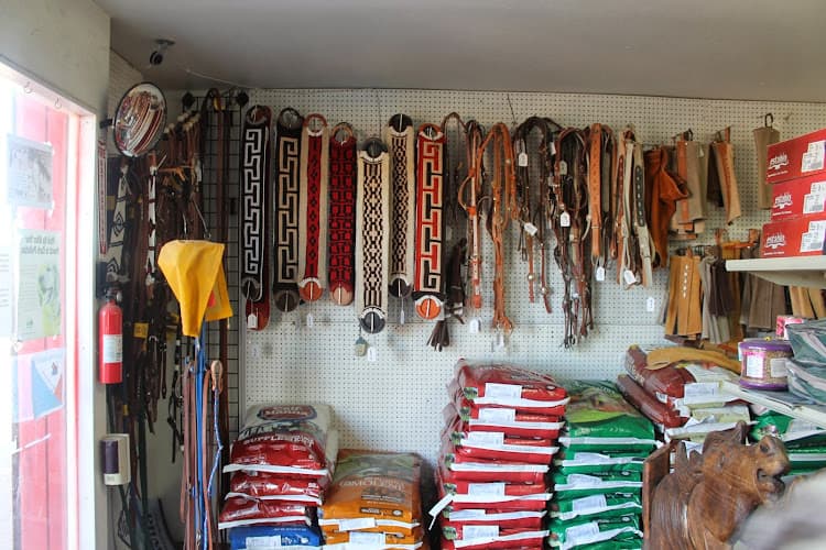 Dog walker J and K's Feed and Vet Supplies Hesperia