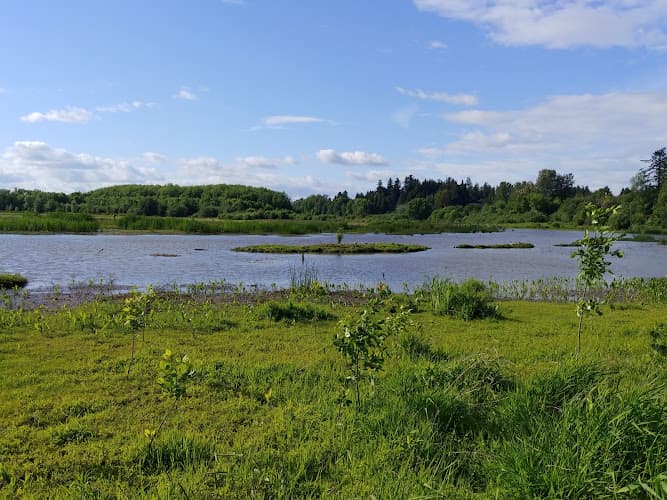 Dog walker Jackson Bottom Wetlands Preserve Hillsboro