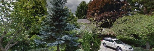 Dog walker Jet Set Pet Sitters Beaverton
