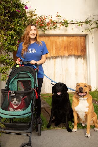 Dog walker K-9 KATS PET SITTING Los Angeles