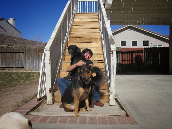 Dog walker Katia's Pet Sitting-Dog Wlkng Lancaster