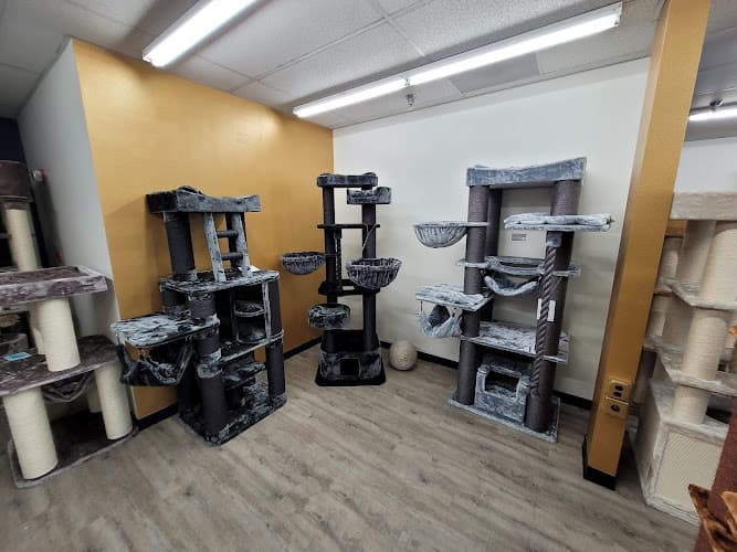 Dog walker Kitty Mansions/Cat Tree Factory Ontario