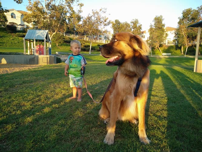 Dog walker Knob Hill Park / Dog Walk San Marcos
