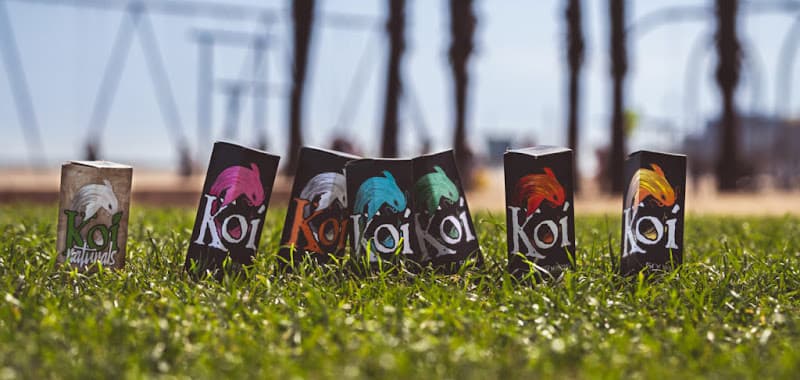 Dog walker Koi CBD Norwalk