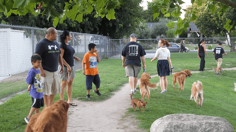 Dog walker Kroll Park Bakersfield