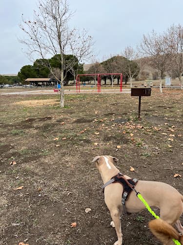 Dog walker Lagoon Park Dog Park Vacaville
