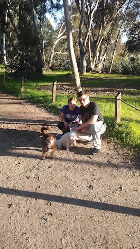 Dog walker Lagoon Trail At Pelican Road Carlsbad