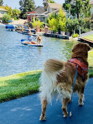 Dog walker Laguna West Pet Pals Elk Grove