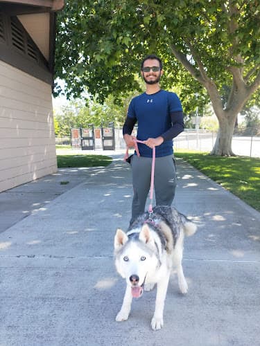 Dog walker Larry J. Marsalli Park Santa Clara
