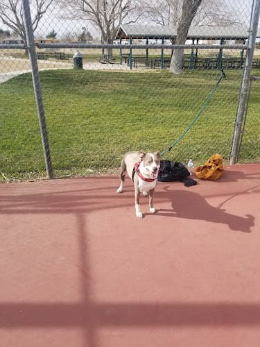 Dog walker Lime Street Park Hesperia