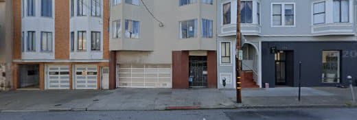 Dog walker Little Dog Chateaux San Francisco