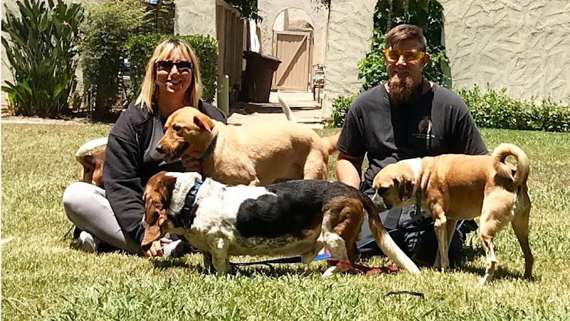 Dog walker Live Love Pet Walking Mission Viejo