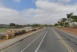 Dog walker Lonny Brewer County Park El Cajon