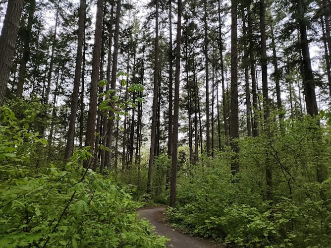 Dog walker Lowami Hart Woods Beaverton