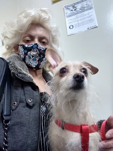 Dog walker Lynwood Dog and Cat Hospital South Gate