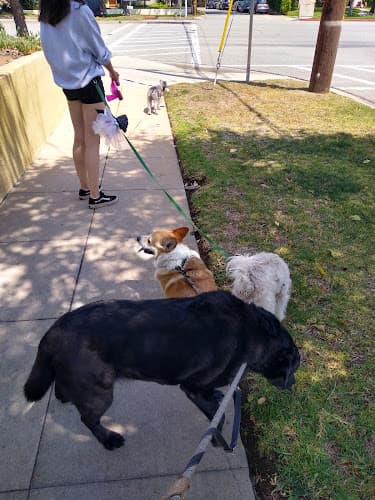 Dog walker Maggie & Friends Pet Care Pasadena