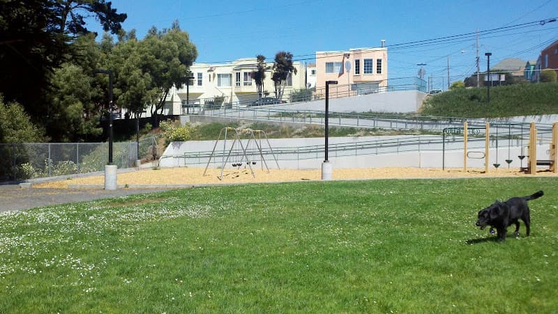Dog walker Marchbank Park Daly City