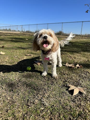 Dog walker Margarita Dog Park Temecula