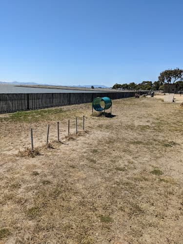 Dog walker Marina Dog Park San Leandro