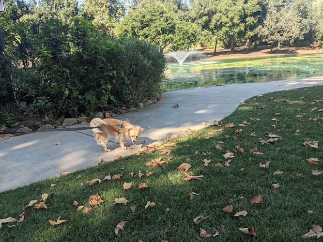 Dog walker Mary Vagle Nature Center Fontana