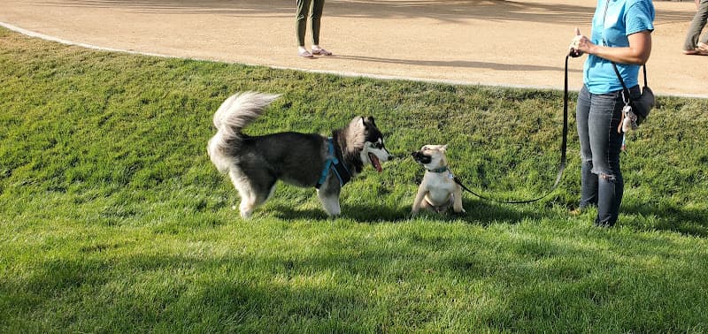 Dog walker Maxwell Dog Park Anaheim