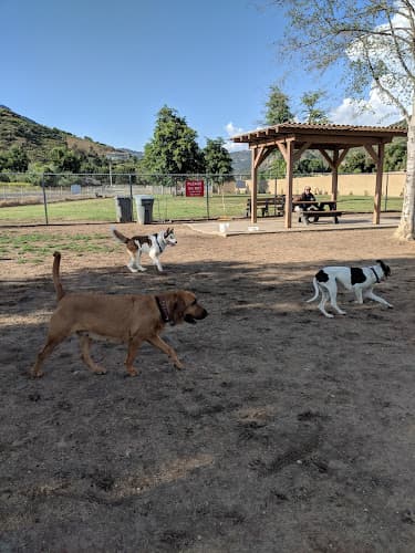 Dog walker Mayflower Dog Park Escondido