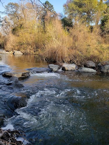 Dog walker Miner's Ravine Trail End Roseville