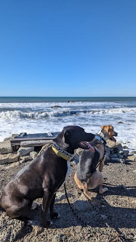 Dog walker Mussel Rock Park Daly City