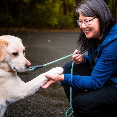 Dog walker Noble Woods Park Hillsboro